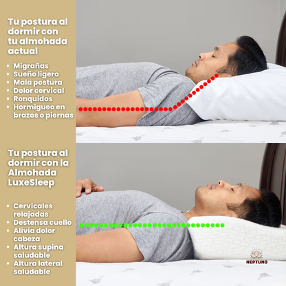 Almohada LUXESLEEP™ — Redescubre el placer de despertar sin dolores
